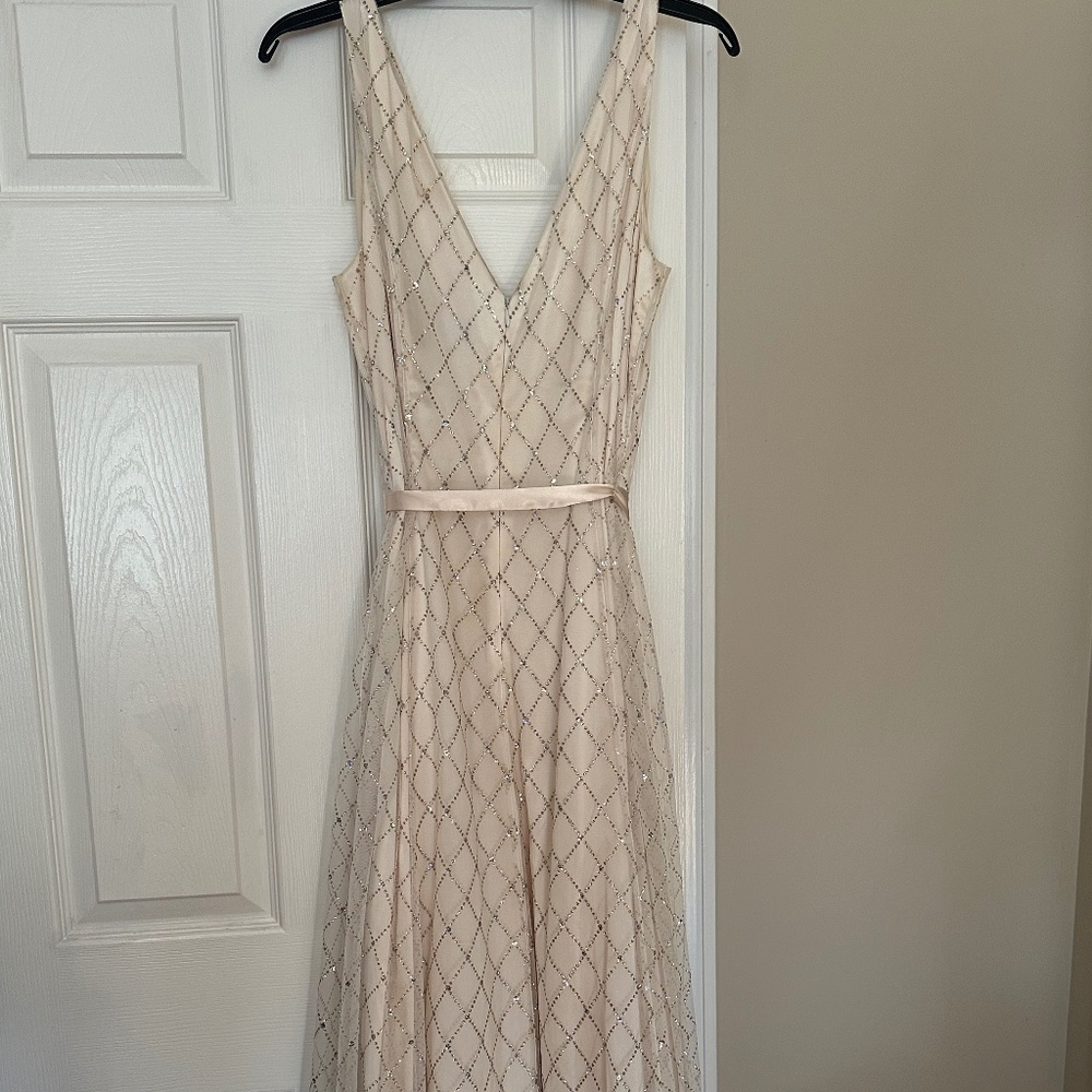 Exquisite dress/gown by Adrianna Papell